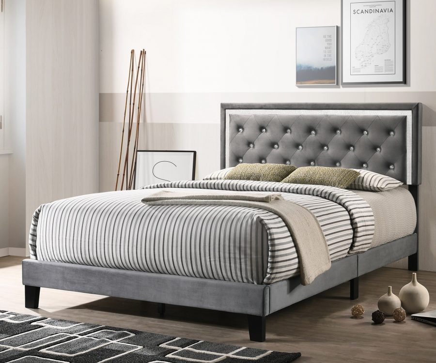 Dark Grey Velvet Uph. Panel Bed with Accents - Twin