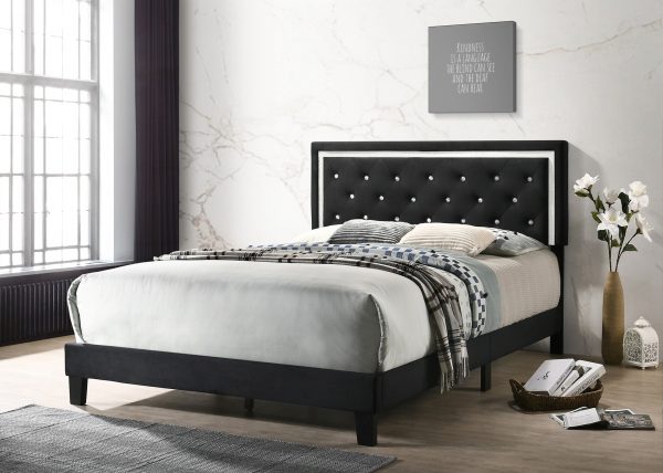Black Velvet Uph. Panel Bed with Accents - Twin